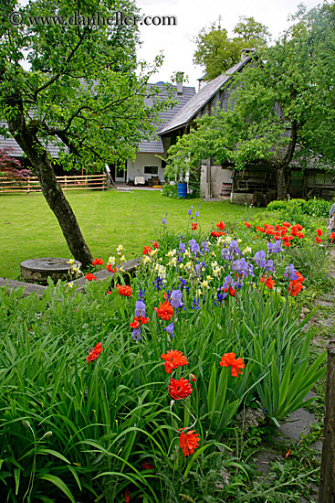 house-n-flower-garden-2.jpg