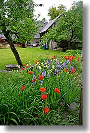 bohinj, europe, flowers, gardens, houses, slovenia, vertical, photograph