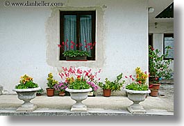 images/Europe/Slovenia/Bohinj/Flowers/potted-plants-n-house-2.jpg