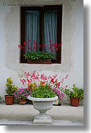 images/Europe/Slovenia/Bohinj/Flowers/potted-plants-n-house-4.jpg