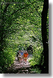 bohinj, europe, groups, hike, hiking, paths, people, slovenia, trees, tunnel, vertical, walk, photograph