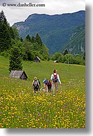 barn, bohinj, europe, hiking, people, slovenia, vertical, walk, wildflowers, photograph