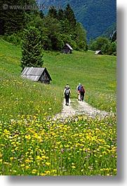 barn, bohinj, europe, hiking, paths, people, slovenia, vertical, walk, wildflowers, photograph