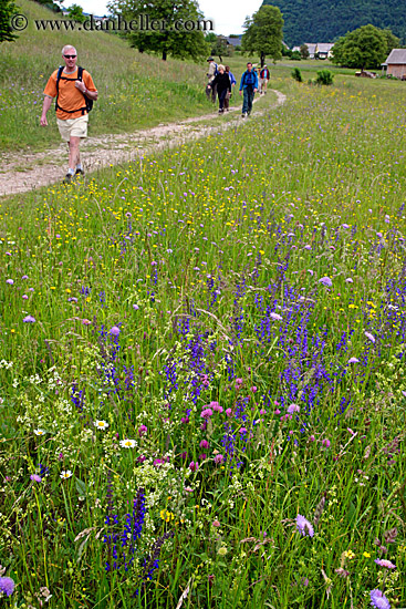 hiking-in-wildflowers-4.jpg