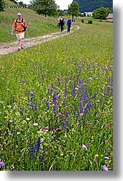 bohinj, europe, hiking, paths, people, slovenia, vertical, walk, wildflowers, photograph