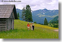 images/Europe/Slovenia/Bohinj/Hiking/hiking-in-wildflowers-n-mtns-1.jpg