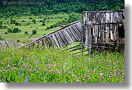 images/Europe/Slovenia/Bohinj/Scenics/old-shed-n-wildflowers-3.jpg