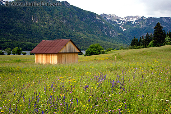 wildflowers-n-barn-10.jpg