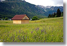 images/Europe/Slovenia/Bohinj/Scenics/wildflowers-n-barn-10.jpg