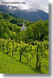 images/Europe/Slovenia/Dreznica/church-n-grape_vines.jpg