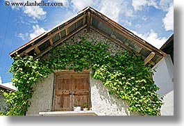 images/Europe/Slovenia/Dreznica/ivy-covered-wall.jpg