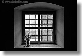 black and white, dead, dreznica, europe, flowers, horizontal, slovenia, windows, photograph