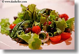 images/Europe/Slovenia/HisaFranko/lettuce-n-tomato-salad.jpg