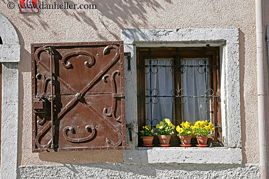 flowers-n-window-1.jpg