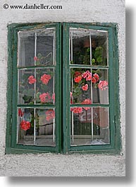 images/Europe/Slovenia/Ljubljana/DoorsWindows/flowers-thru-dirty-window.jpg