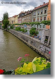 buildings, cities, europe, flowers, ljubljana, river bank, rivers, slovenia, vertical, photograph