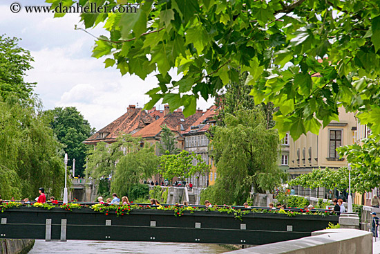 flowers-bridge-bldgs-3.jpg