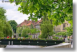 images/Europe/Slovenia/Ljubljana/Town/flowers-bridge-bldgs-3.jpg
