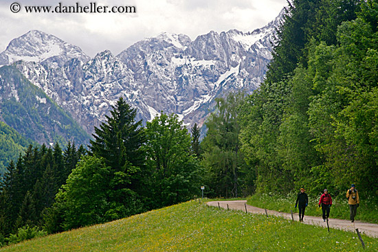 hikers-road-mountain-1.jpg