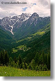 clouds, europe, logarska dolina, mountains, scenics, slovenia, snowcaps, vertical, views, wildflowers, photograph