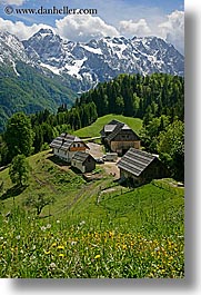 barn, clouds, europe, houses, logarska dolina, mountains, scenics, slovenia, snowcaps, vertical, views, wildflowers, photograph