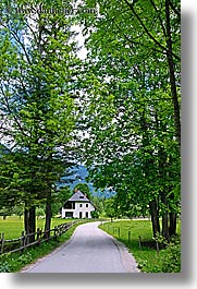 images/Europe/Slovenia/LogarskaDolina/Scenics/road-thru-tree-tunnel-2.jpg