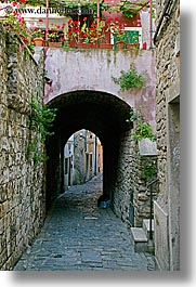 images/Europe/Slovenia/Pirano/Arches/archway-n-flowers.jpg