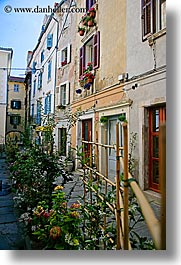 europe, flowers, narrow streets, pirano, slovenia, vertical, windows, photograph