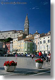 images/Europe/Slovenia/Pirano/Piazza/piazza-n-flowers-2.jpg