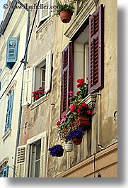 images/Europe/Slovenia/Pirano/Windows/flowers-in-window-2.jpg