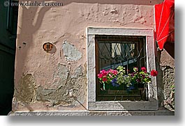 europe, flowers, horizontal, pirano, slovenia, windows, photograph