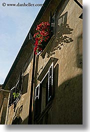 images/Europe/Slovenia/Pirano/Windows/flowers-in-window-7.jpg