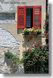europe, flowers, pirano, slovenia, vertical, walls, windows, photograph