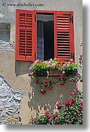 images/Europe/Slovenia/Pirano/Windows/flowers-window-n-wall-3.jpg