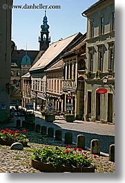 buildings, europe, flowers, ptuj, slovenia, vertical, photograph