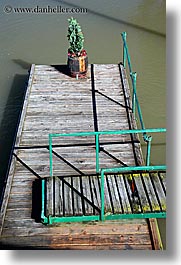dock, europe, plants, ptuj, slovenia, vertical, photograph