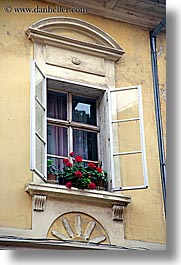 europe, flowers, ptuj, slovenia, vertical, windows, photograph