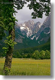 images/Europe/Slovenia/Scenics/Mountains/mtns-n-wildflowers-1.jpg