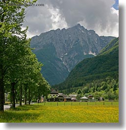 images/Europe/Slovenia/Scenics/Mountains/mtns-n-wildflowers-2.jpg