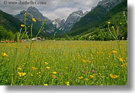 images/Europe/Slovenia/Scenics/Mountains/mtns-n-wildflowers-4.jpg
