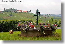 europe, flowers, horizontal, slovenia, styria, water pump, photograph
