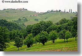 images/Europe/Slovenia/Styria/foggy-vineyard-n-houses-2.jpg