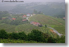 images/Europe/Slovenia/Styria/foggy-vineyard-n-houses-7.jpg