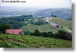 images/Europe/Slovenia/Styria/foggy-vineyard-n-houses-8.jpg
