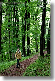 europe, forests, hikers, lush, paths, slovenia, styria, vertical, photograph