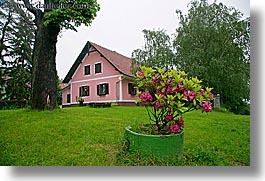 azaleas, europe, flowers, horizontal, houses, pink, slovenia, styria, photograph