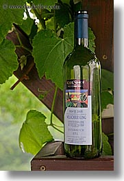 europe, reisling, slovenia, styria, vertical, white, white wine, wines, photograph