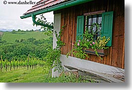europe, horizontal, houses, slovenia, styria, vineyards, windows, photograph