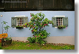 europe, flowers, horizontal, slovenia, styria, trees, windows, photograph