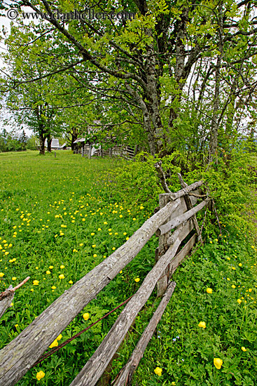 fence-n-wildflowers.jpg